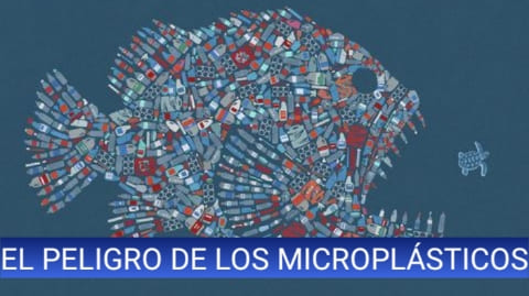 El peligro de los Microplasticos en la lavadora