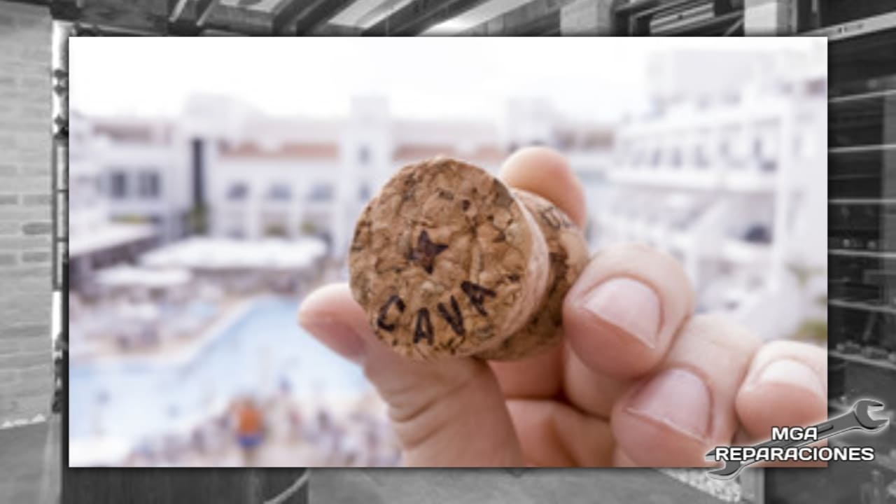 Consejos a la hora de comprar y conservar una cava de vino